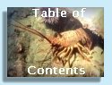 Table of Contents